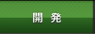 開発