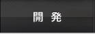 開発